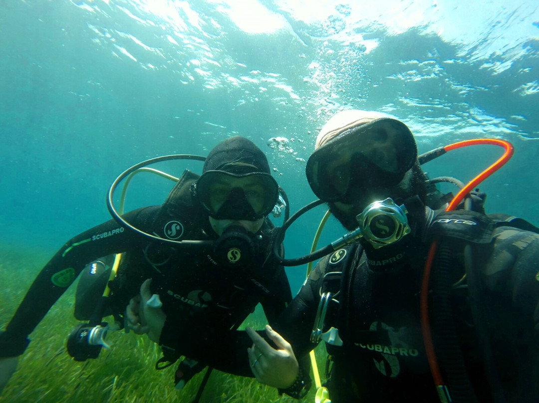 EUPHORIA DIVING CENTER景点图片