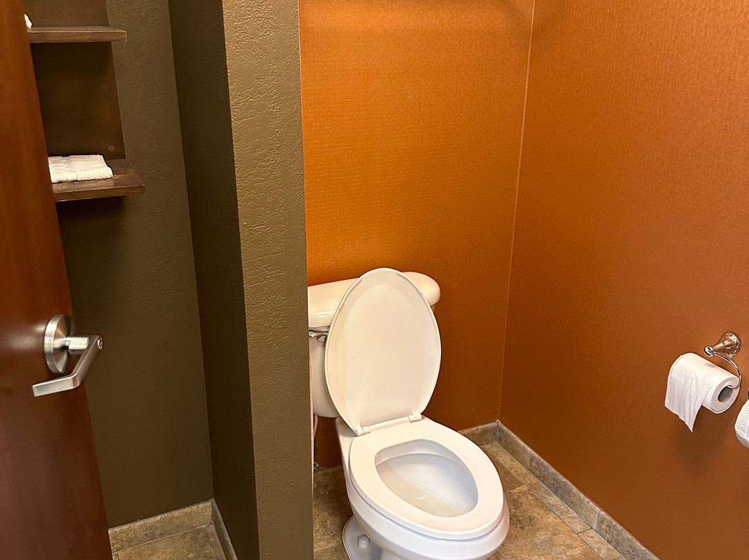 Best Western Plus Tupelo Inn & Suites主图