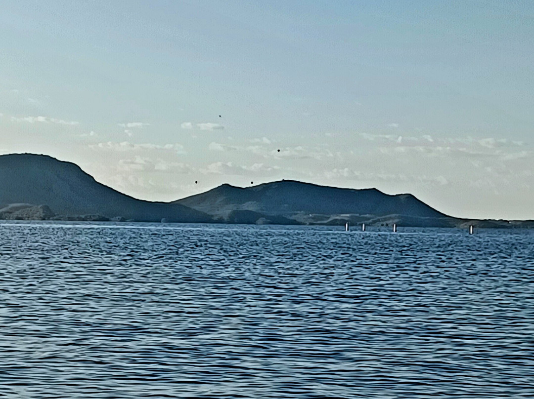 Desert Breeze Kayaking Tours-凤凰城必去景点