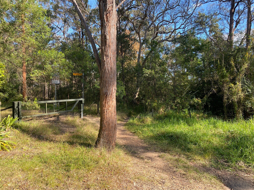 Duck Holes Walking Track