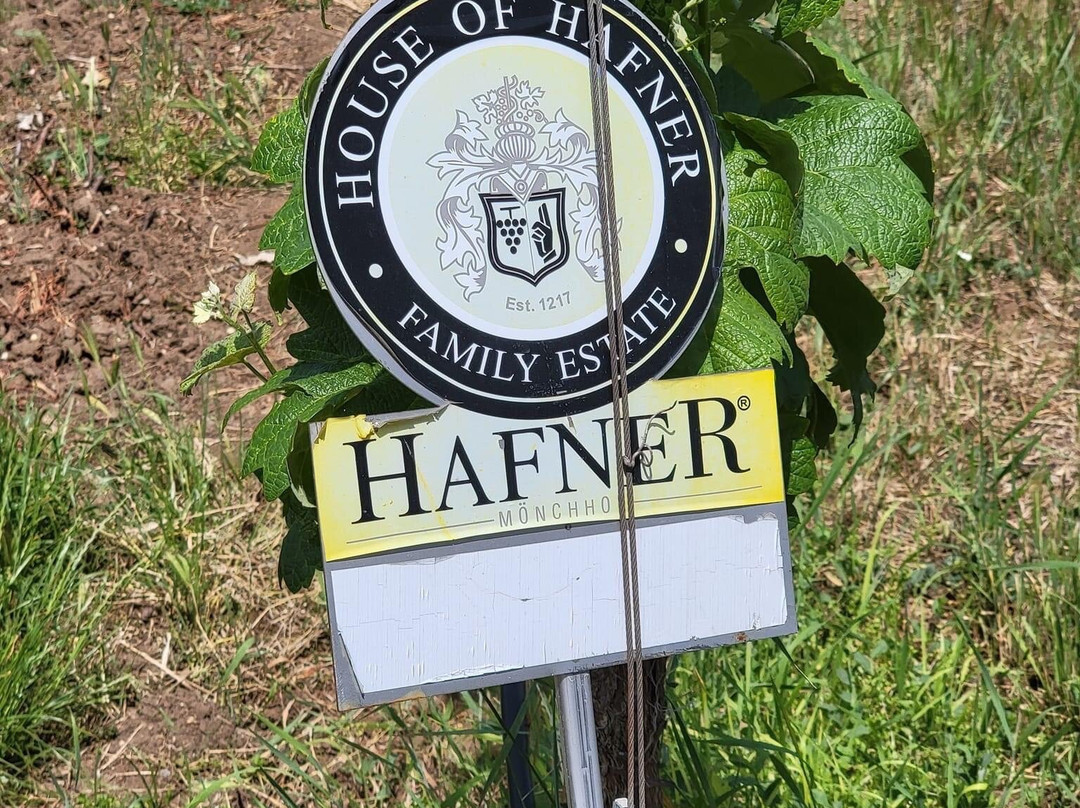 Weingut Hafner-Monchhof必去景点