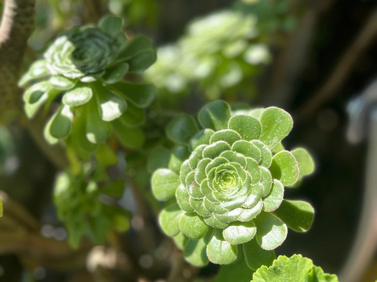 Juniper Bed & Breakfast主图