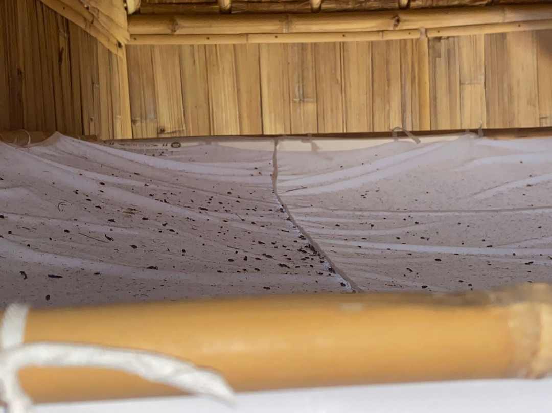 Menjangan Hill主图