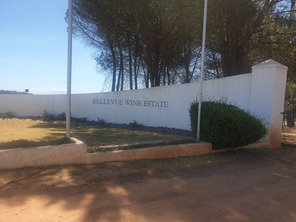 Bellevue Wine Estate景点图片