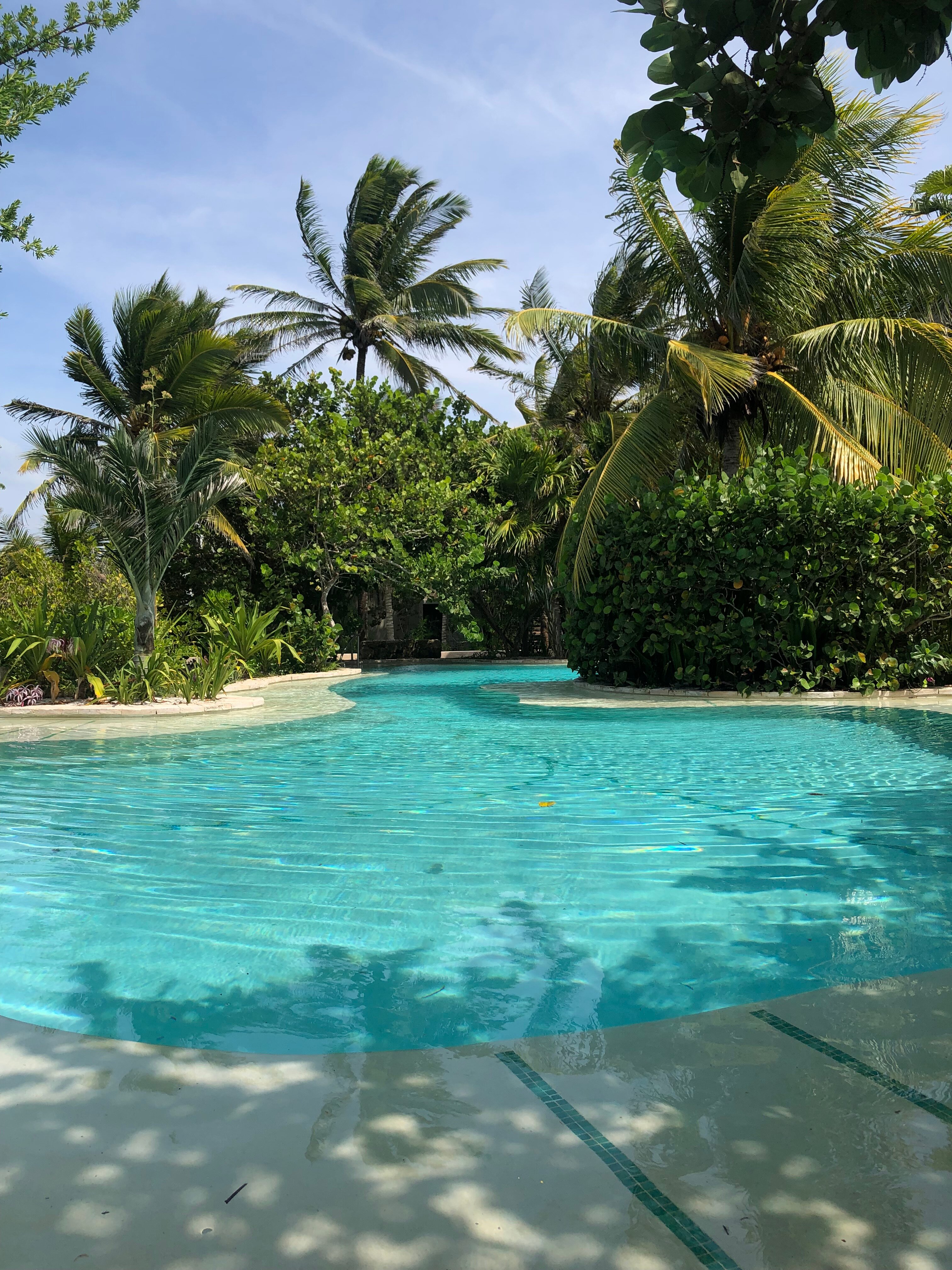 Club de Patos-泳池
