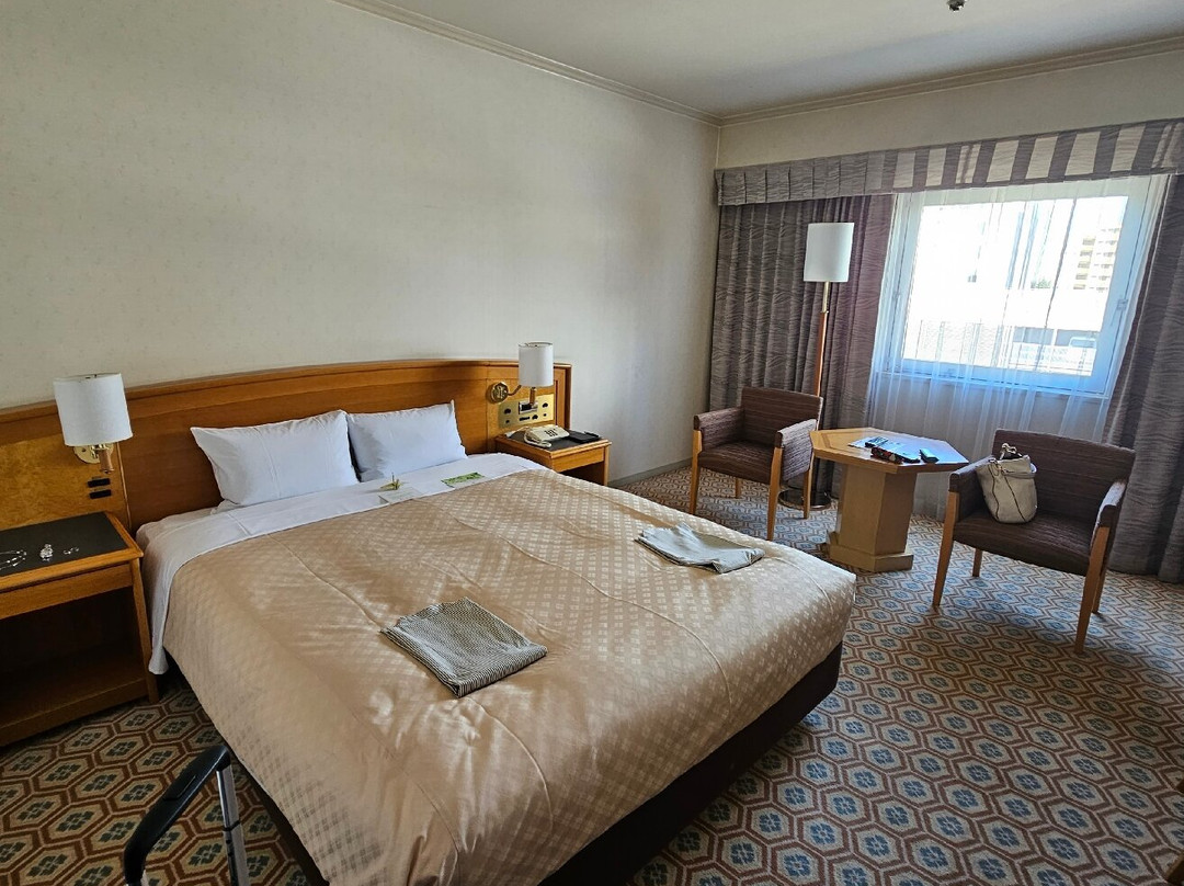 Hotel Nikko Tsukuba主图