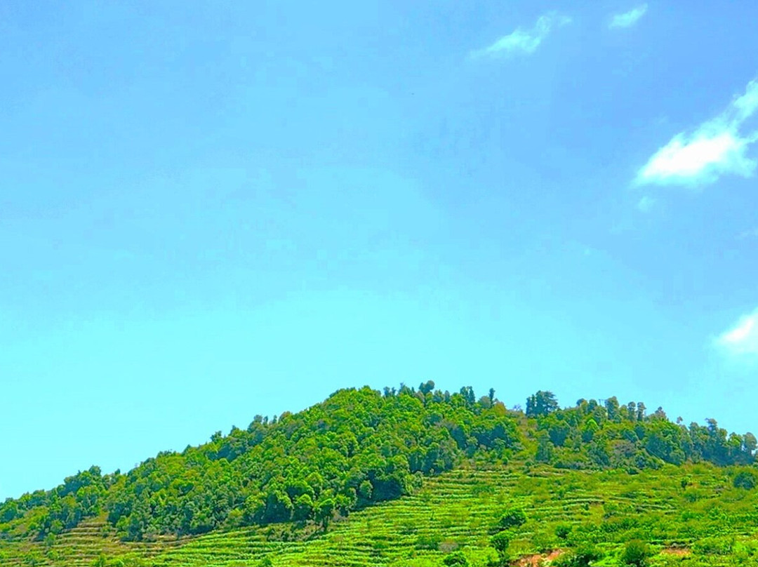 Rose Cottage, Hartola主图