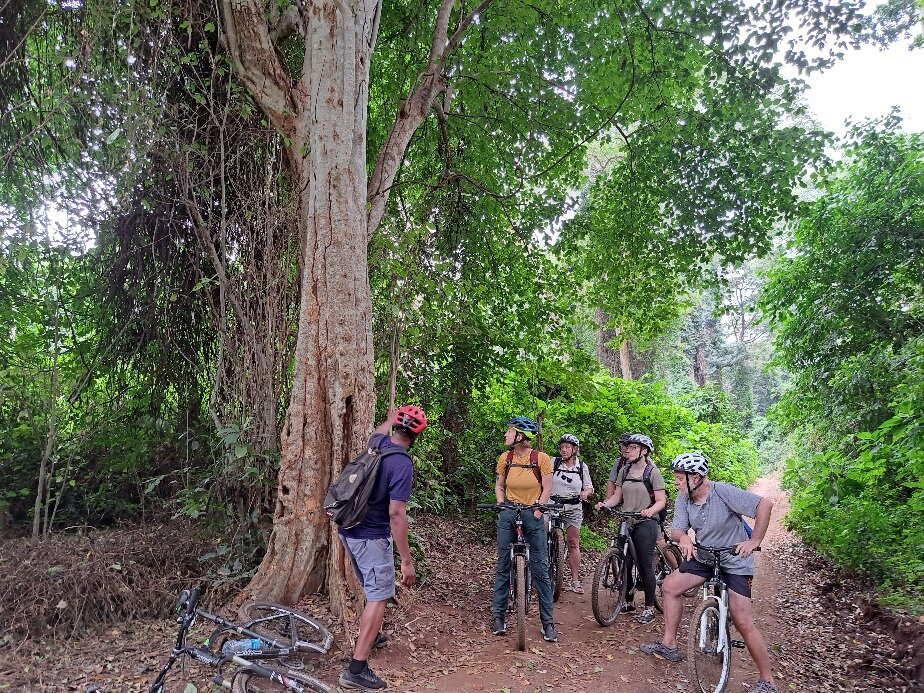 Rau Eco & Cultural Tourism Enterprise-莫西必去景点
