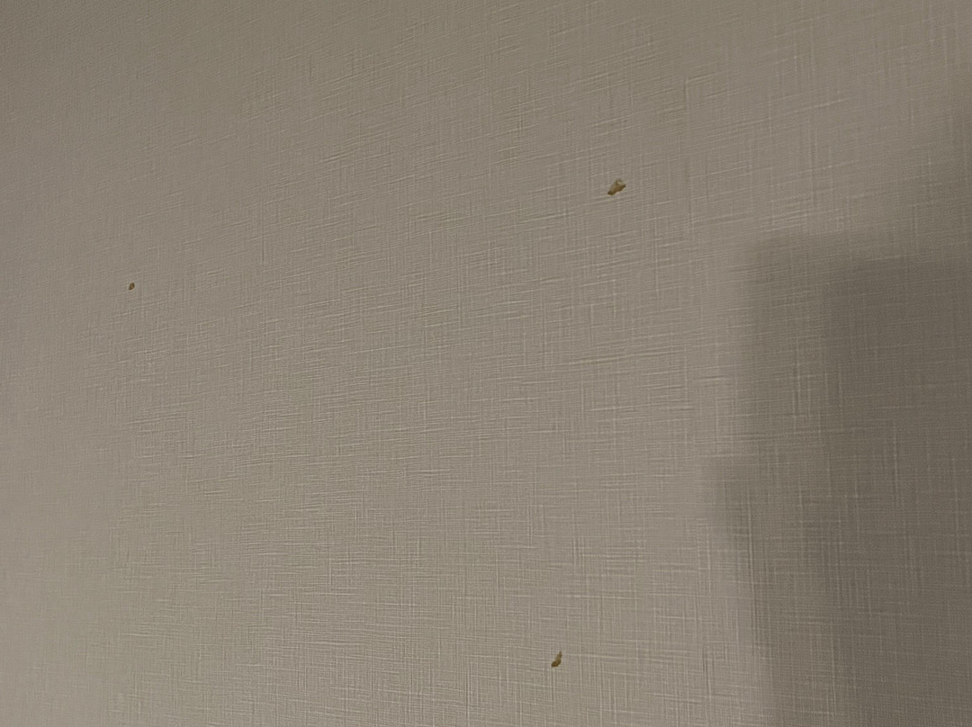 Hampton Inn & Suites By Hilton Ottawa West主图