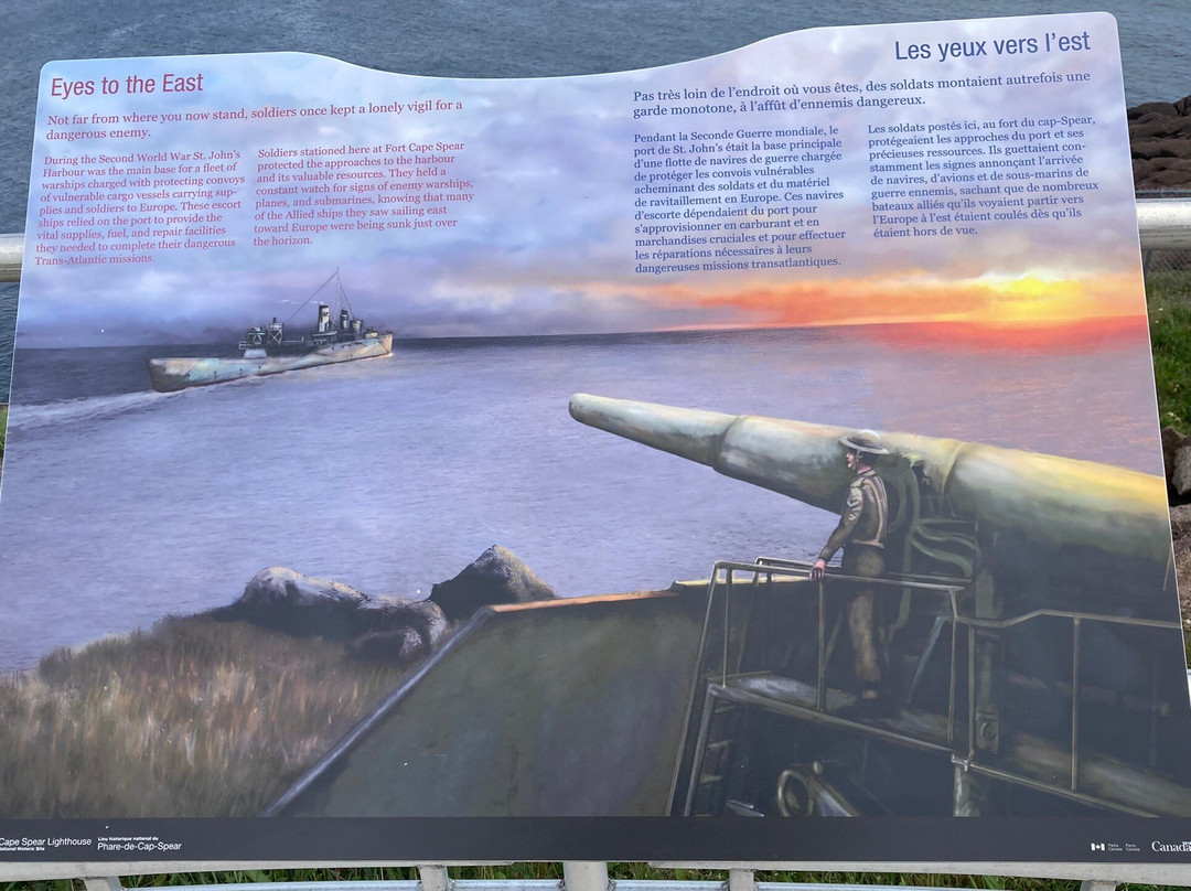 Petty Harbour Mini Aquarium-Petty Harbour必去景点