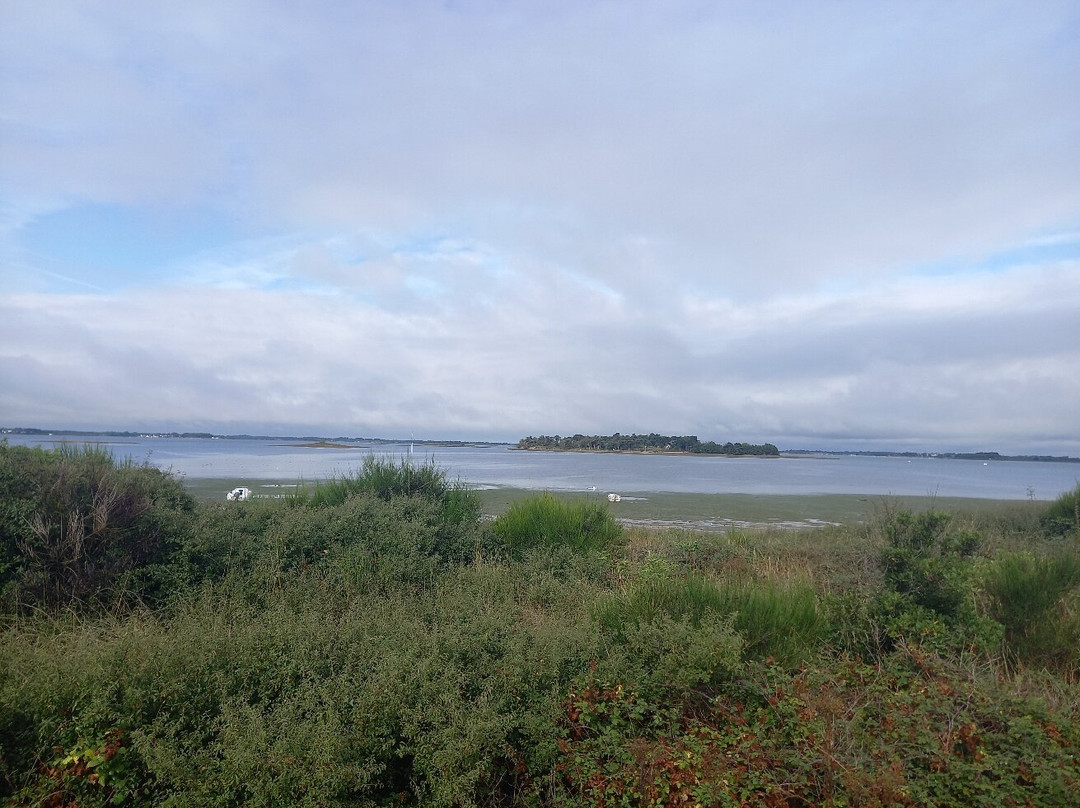 Île Tascon景点图片