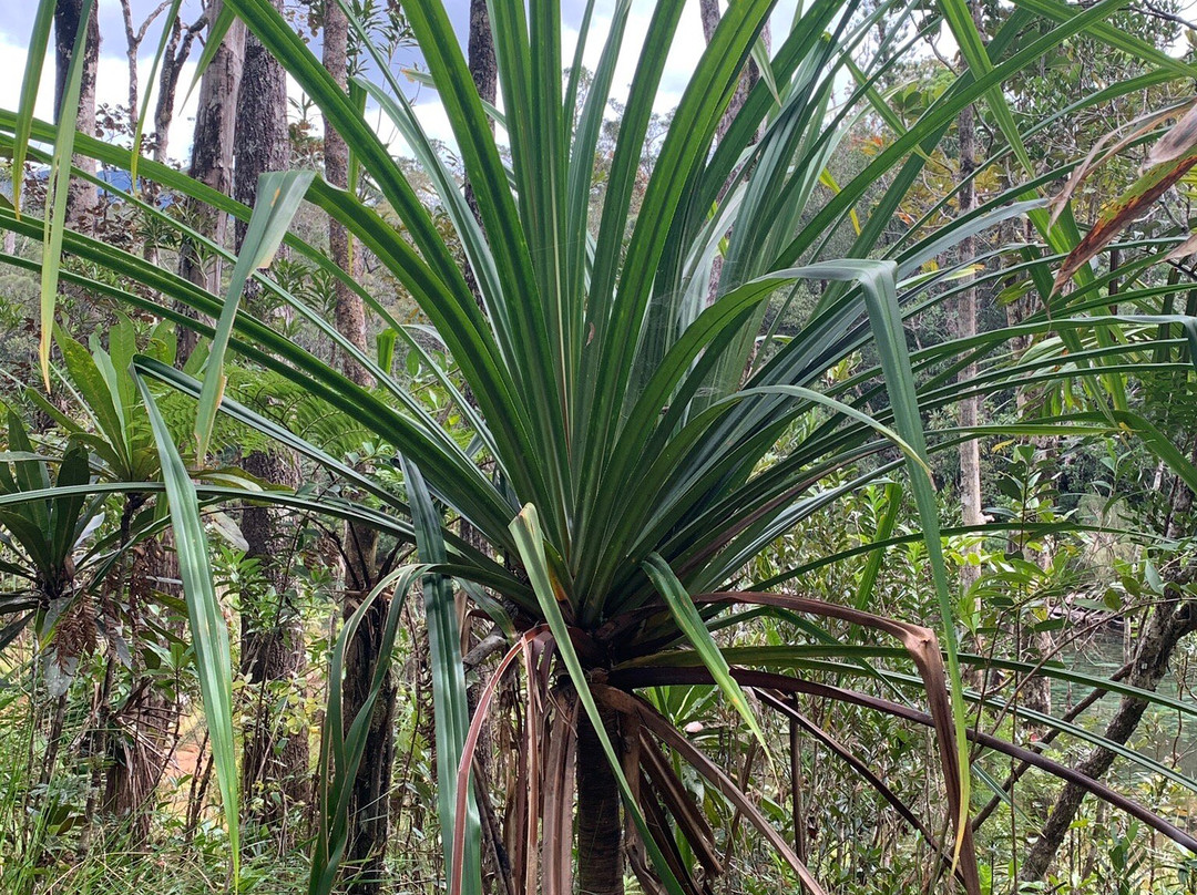 Sud Loisirs-Yate必去景点