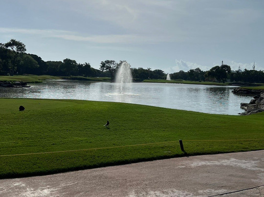 Hard Rock Golf Club Riviera Maya-普拉亚德尔卡曼必去景点