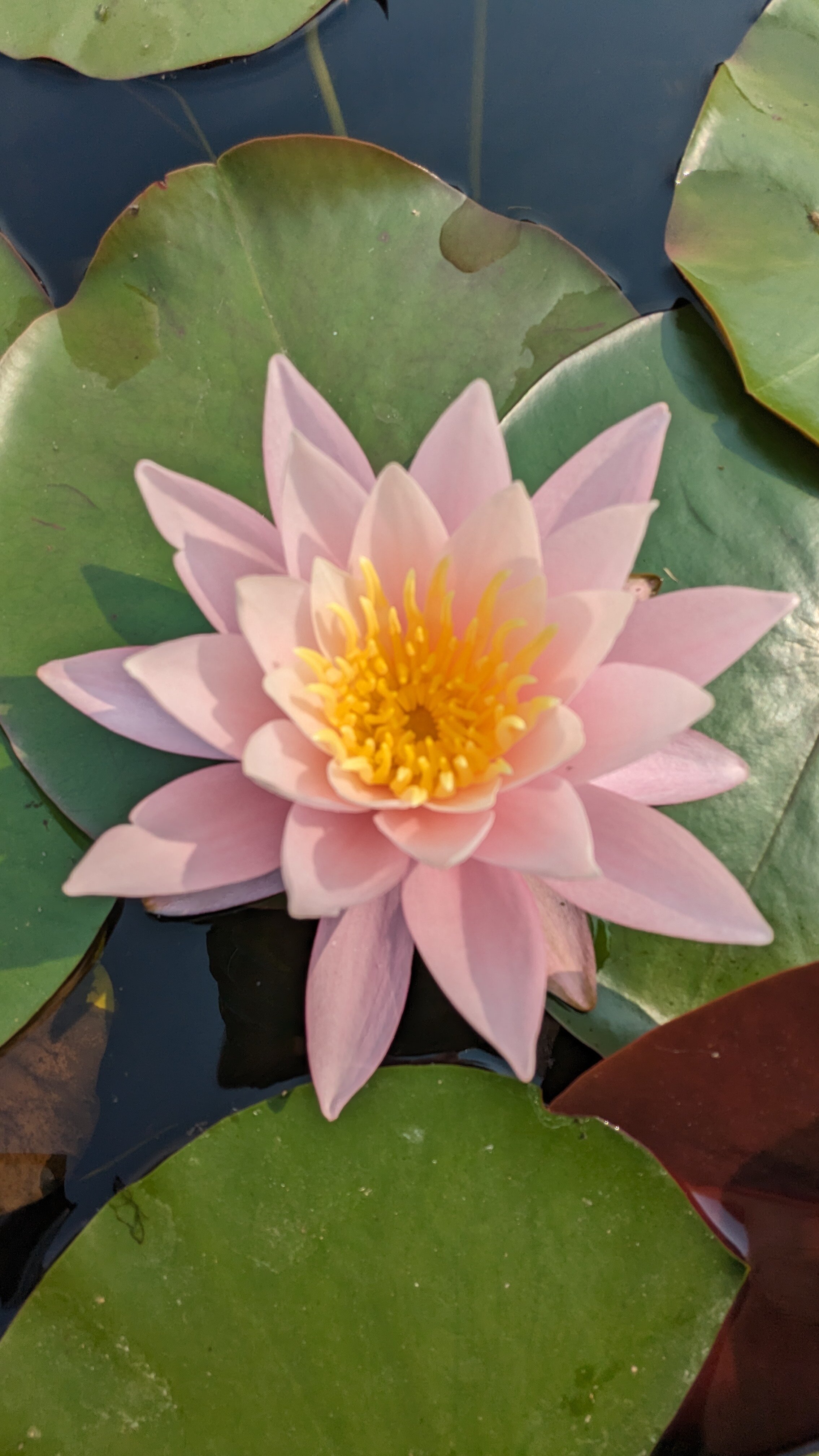 The Lake House-酒店景观