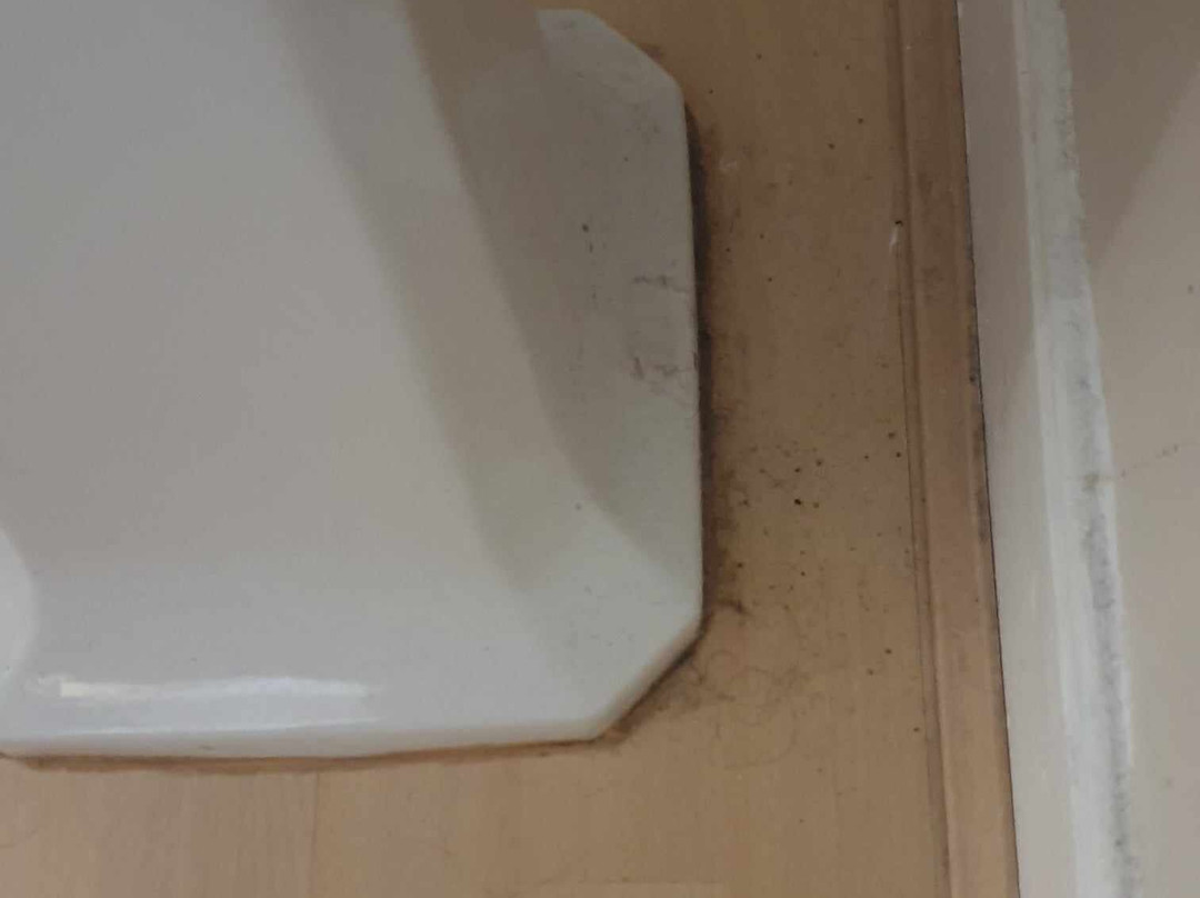 Thropton Demesne Farmhouse B&B主图