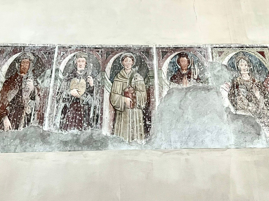 Collegio Papio景点图片