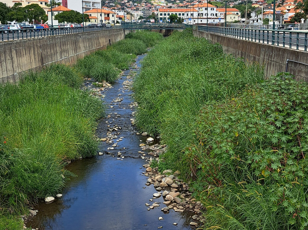 Machico Bridge景点图片