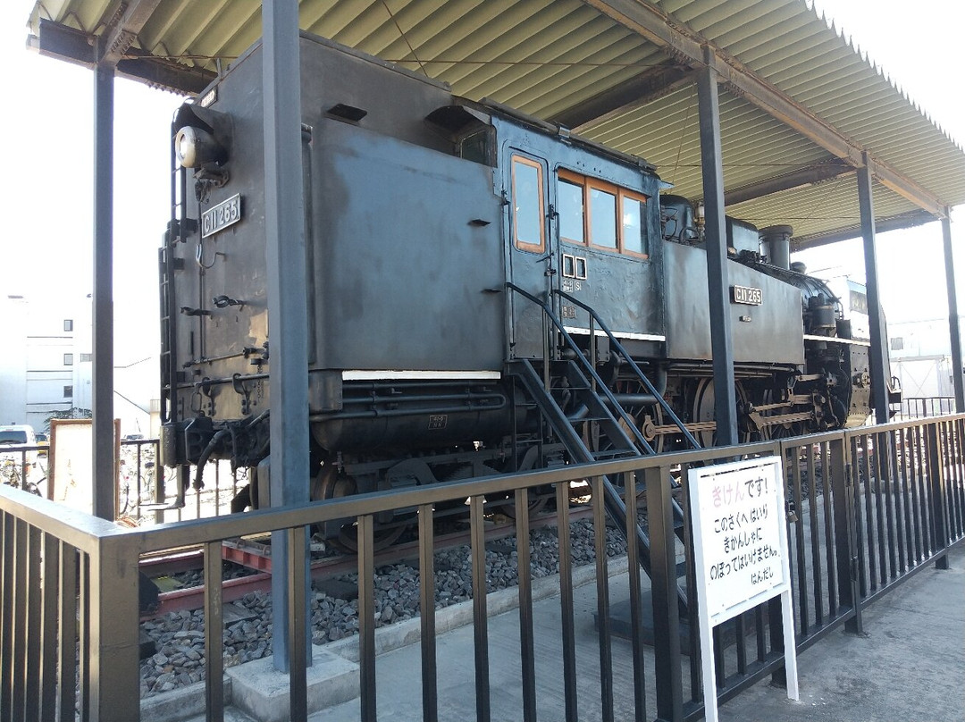 C11 265 Steam Locomotive