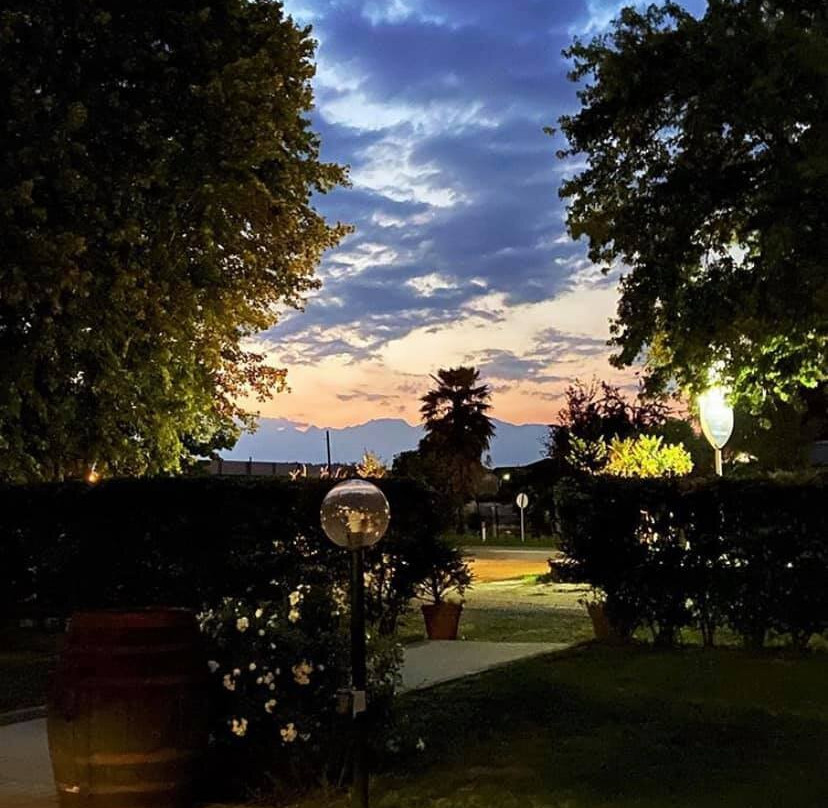 Sardi'S Bar And Restaurant