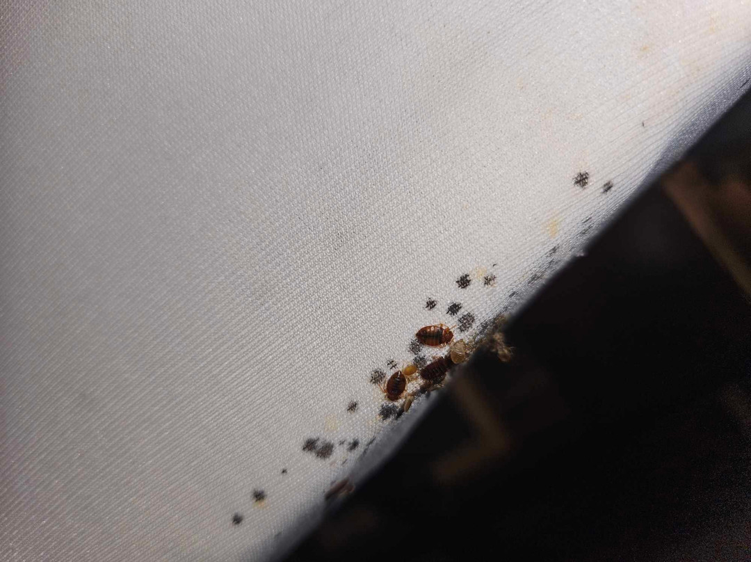 Colonial Inn & Creamery主图