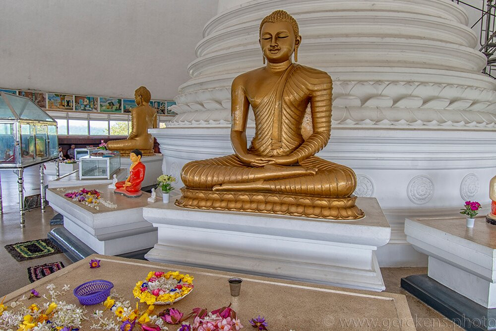 Pearl Of Sri Lanka Travel景点图片