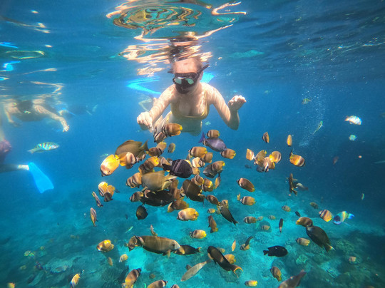 Family Trips Bali-乌布必去景点