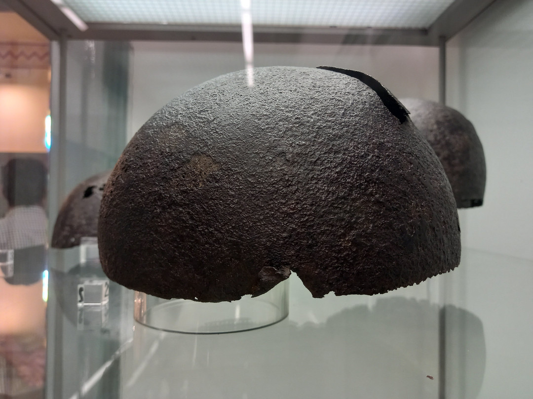 Museo della Fondazione Fioroni景点图片