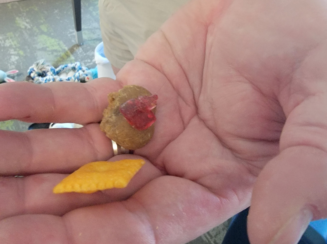 Hampton Inn & Suites Sioux City/south主图