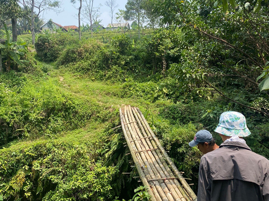 Bogor Halimun National Park Tour-茂物必去景点
