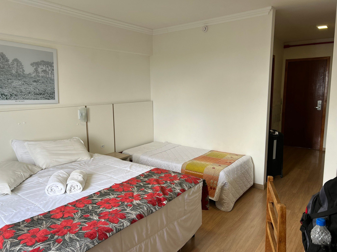 Sao Joaquim Park Hotel主图