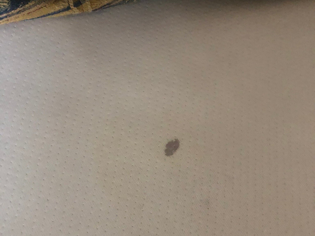 布拉伊达别墅酒店主图