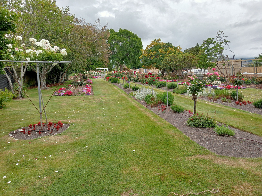 Pethybridge Rose Garden景点图片