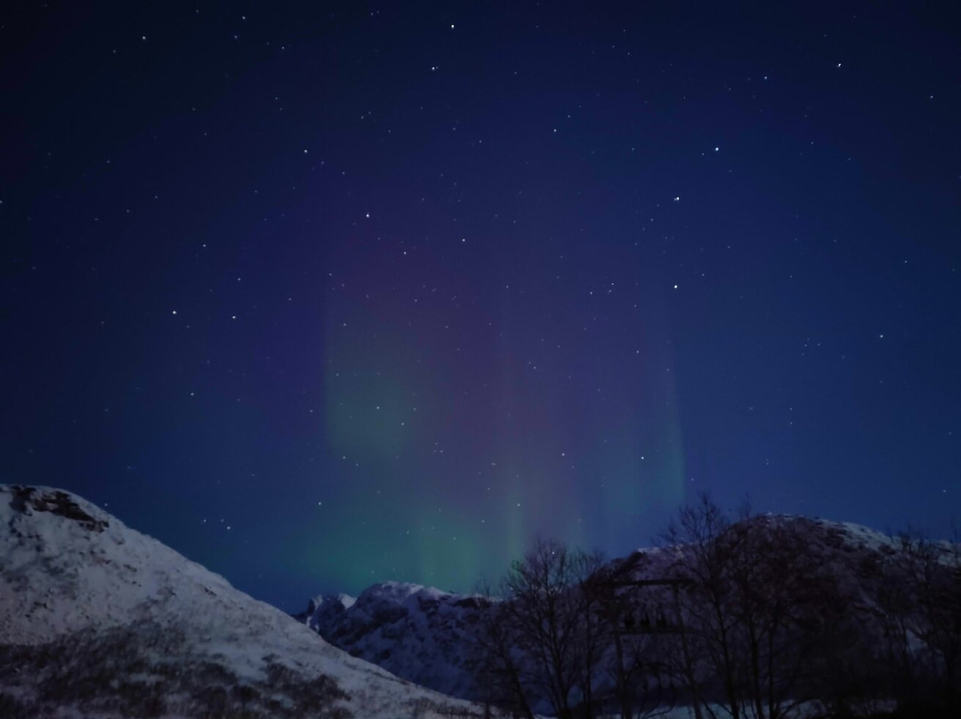 Northern Norway Travel-特罗姆瑟必去景点