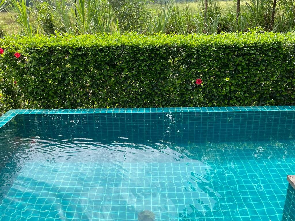 锡吉里亚水上花园酒店主图