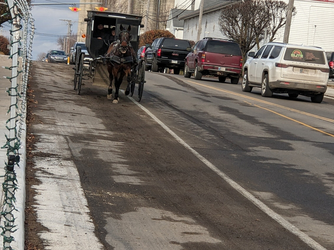 Buggy Lane Tours-Shipshewana必去景点