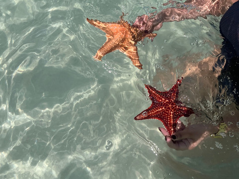 SeaCayman-大开曼岛必去景点