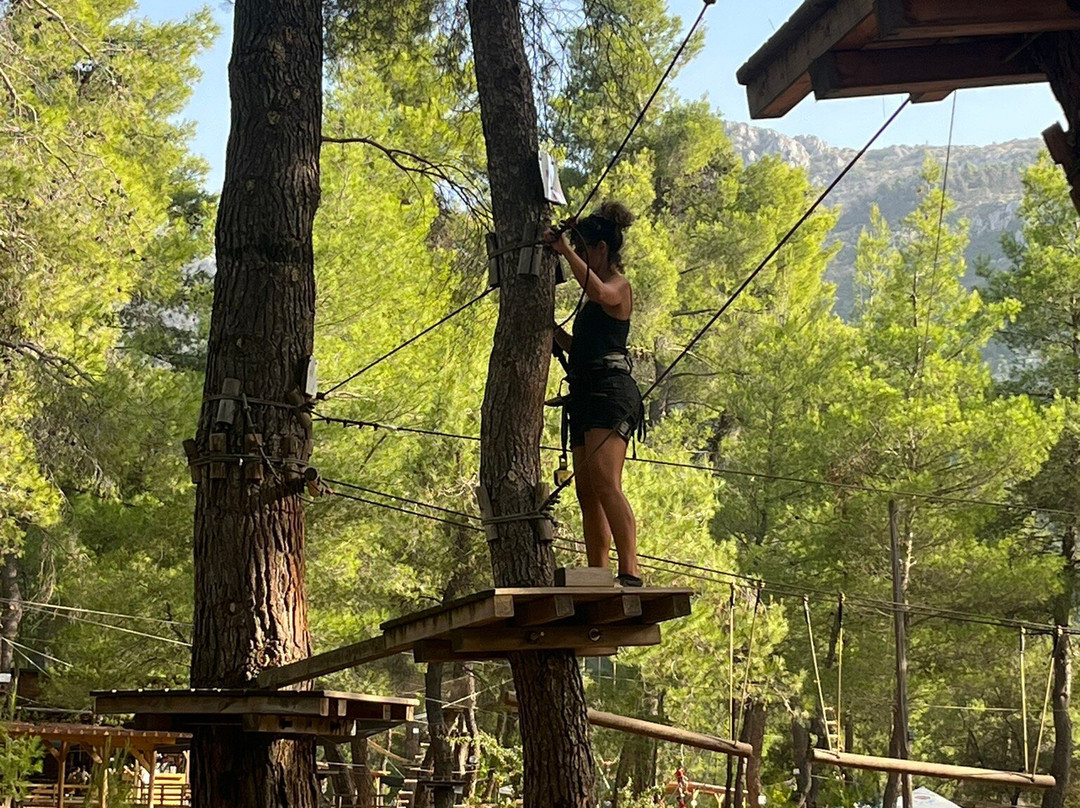 Athena Private Tours-雅典必去景点