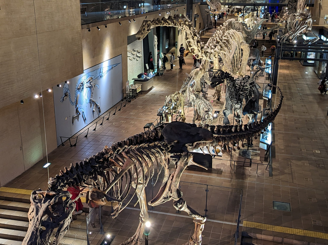 Kitakyushu Museum of Natural History & Human History-北九州市必去景点