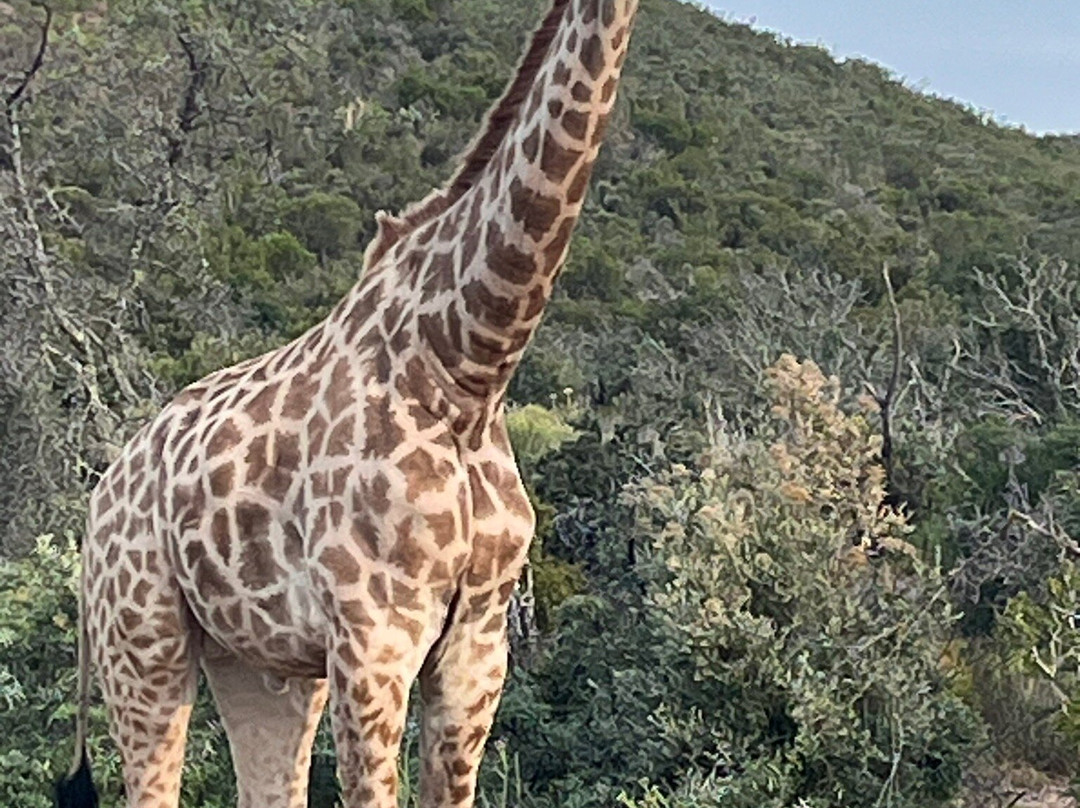 R62 Adventure Tours-蒙提古必去景点