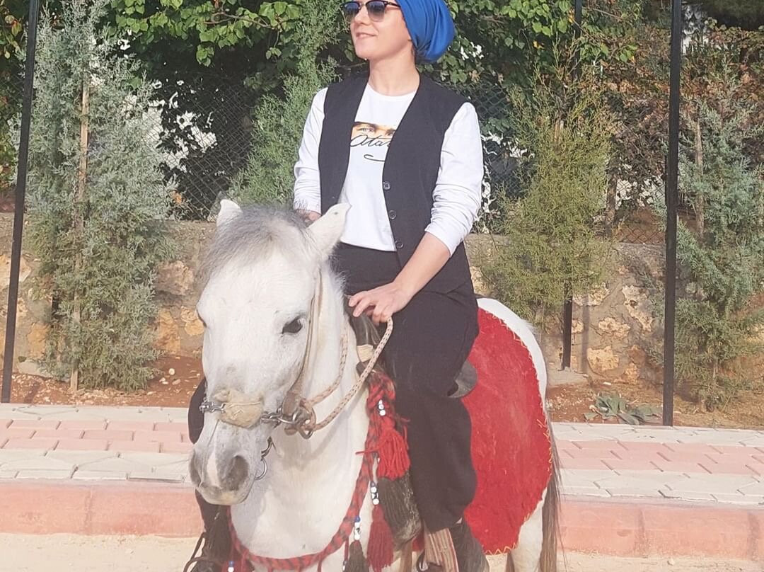 Midyatta bahcamatite atciftligi