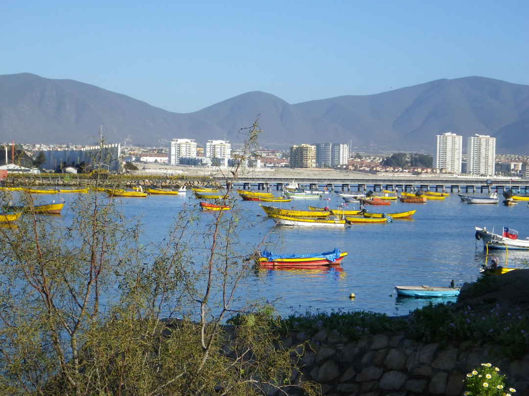 Playa La Herradura-Coquimbo必去景点