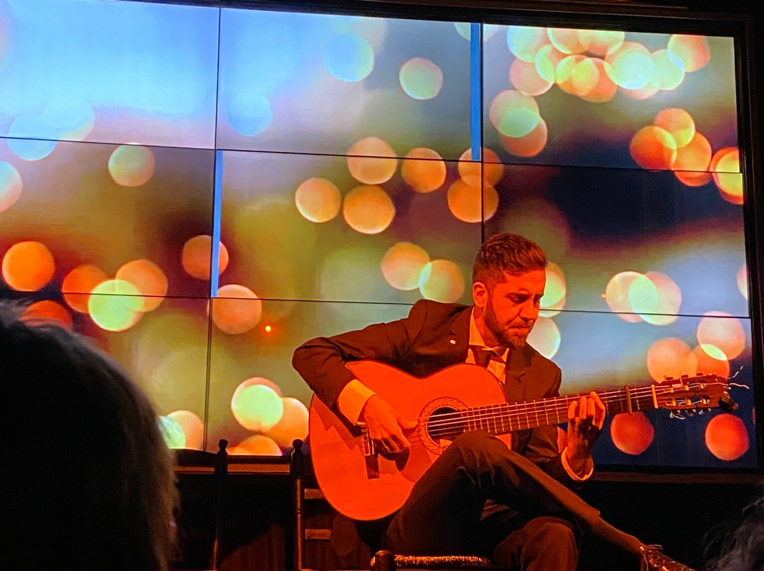 Teatro Flamenco Málaga Club-马拉加必去景点