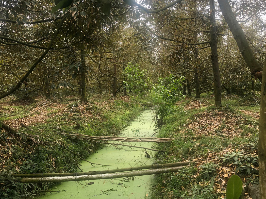 Dana-Ben Luc必去景点