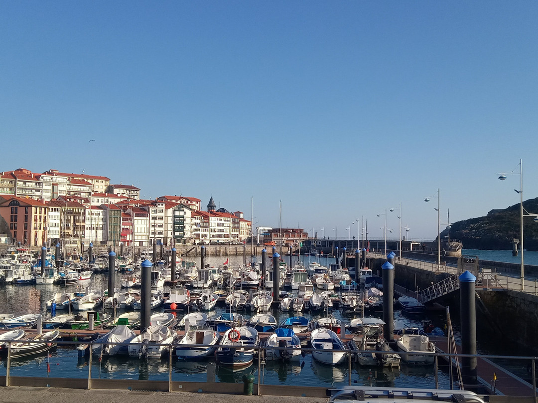 Puerto De Lekeitio景点图片