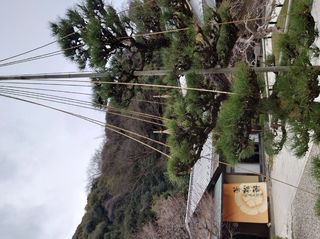 Gifu Park-岐阜市必去景点