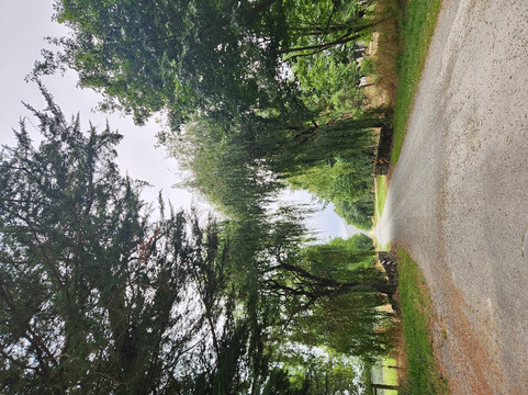 Waikonini Homestead主图