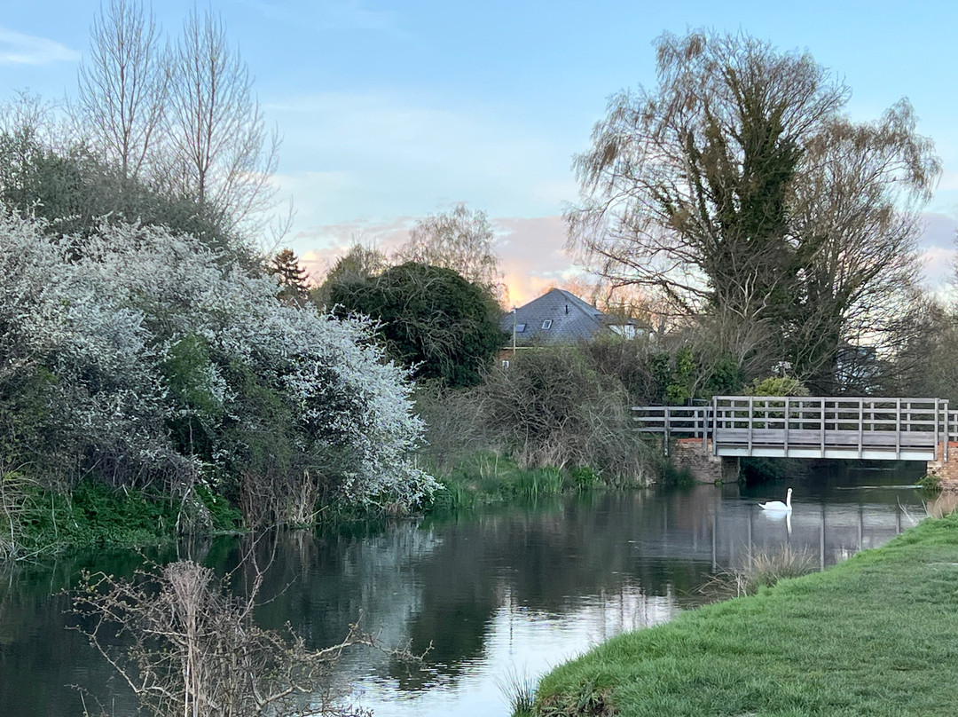 Croxley Common Moor景点图片