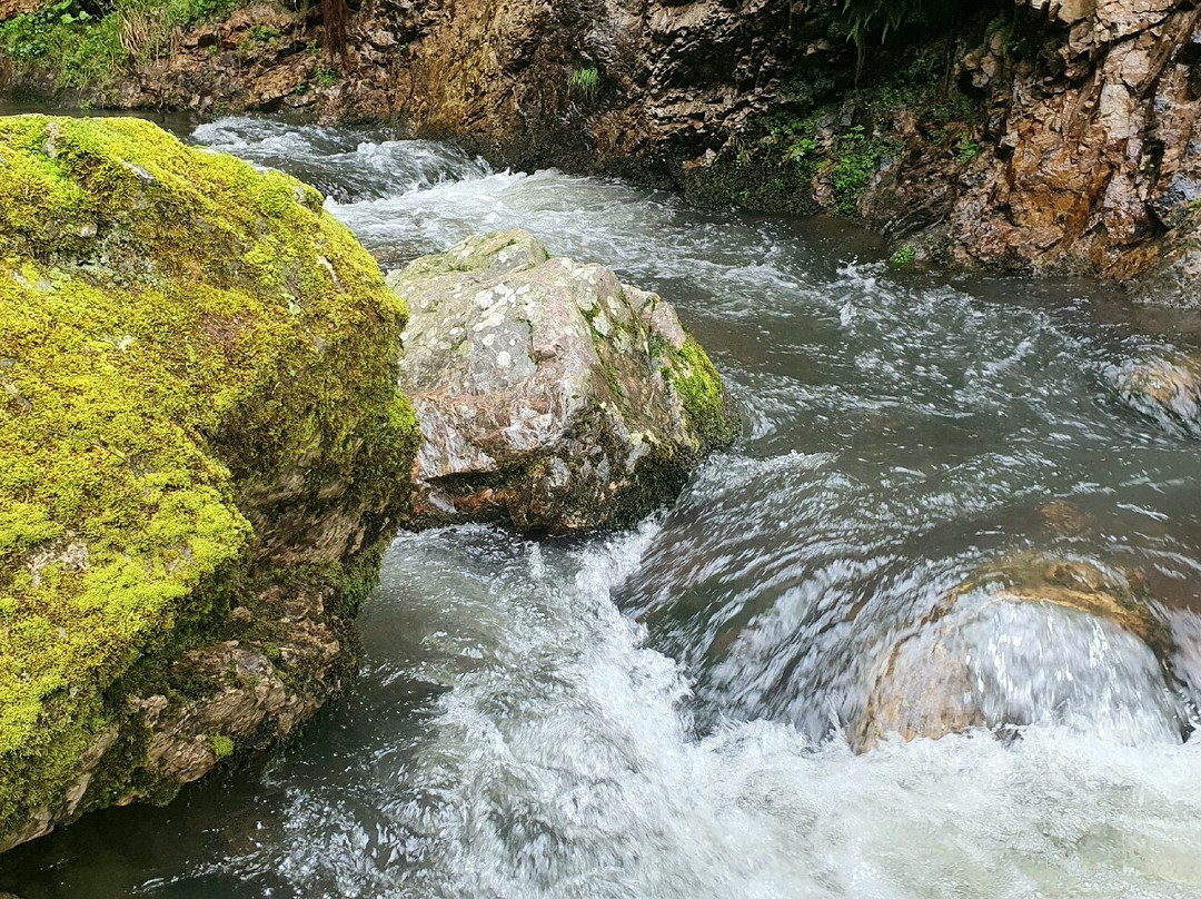 公鸡啼鸣酒店主图