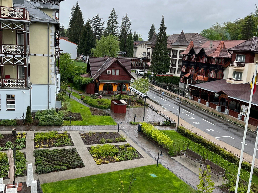 Hotel Pacsirta Restaurant主图