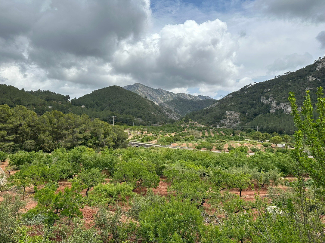 Hotel Mas Mariassa主图